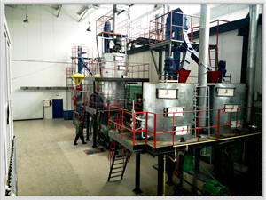 machine d'extraction d'huile de presse À froid de noix